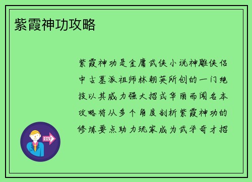 紫霞神功攻略